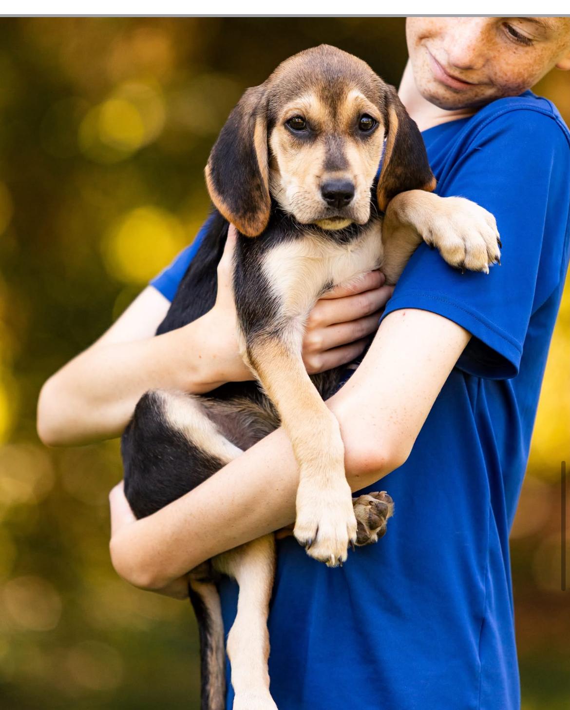 Skittles, a ADOPTABLE mixed breed in Columbia, MD image 3/6