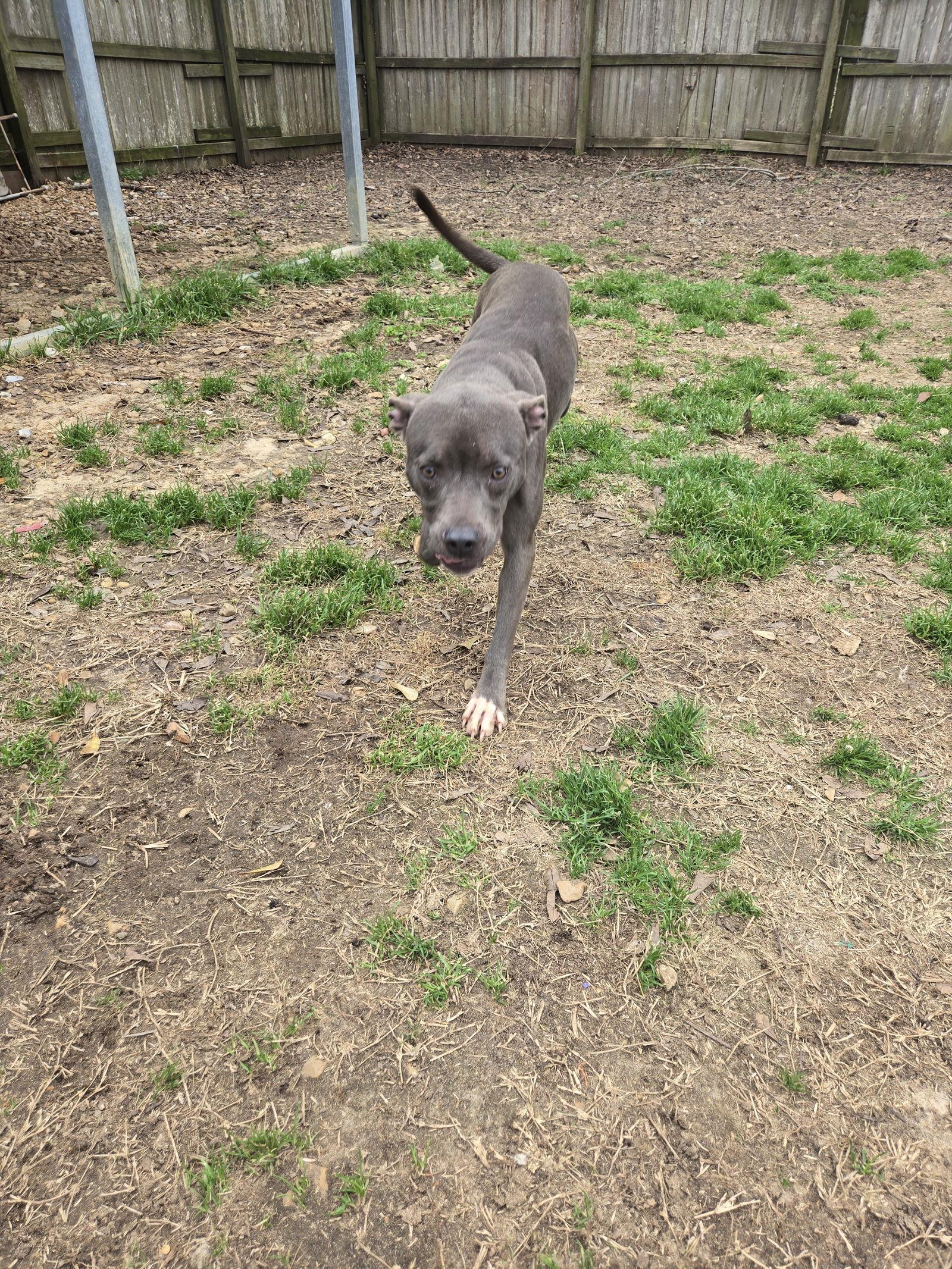 Serenity — thumbnail 2