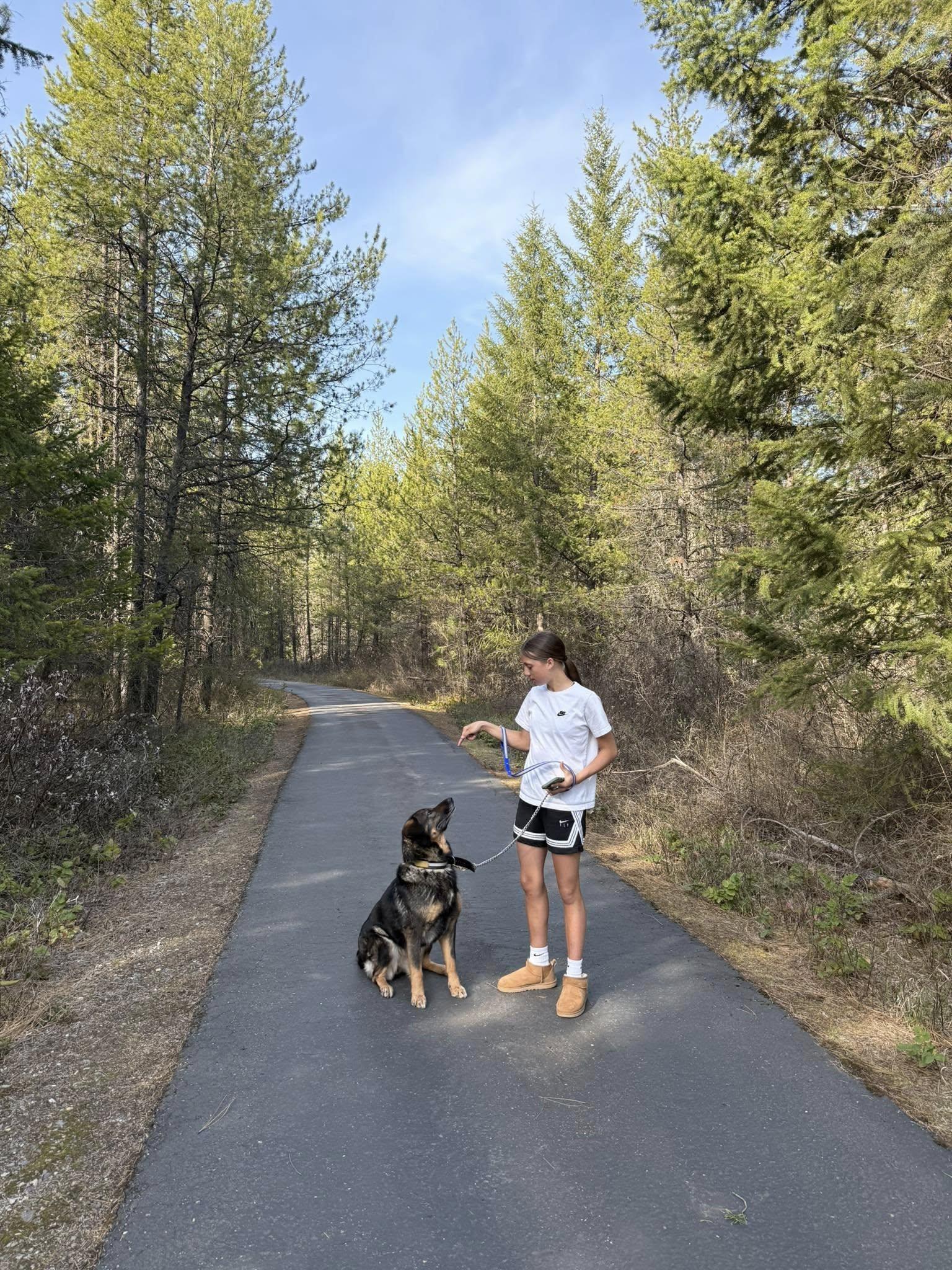 Wanda, a Adopted mixed breed in Libby, MT image 2/5