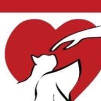 Rose Quartz, a Adoptable mixed breed in Waldorf, MD image 2/4