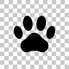 Rose Quartz, a Adoptable mixed breed in Waldorf, MD image 4/4