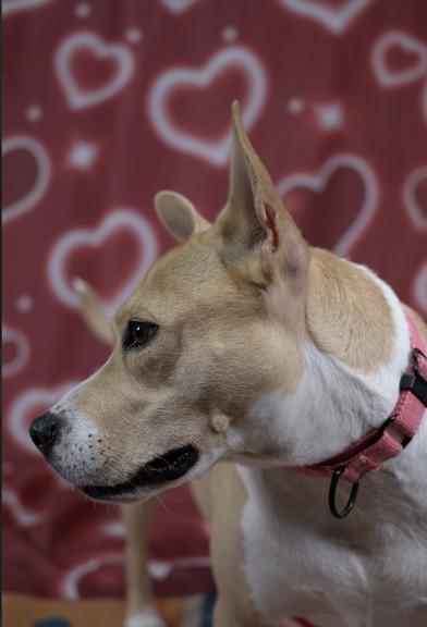 Maggie — thumbnail 4