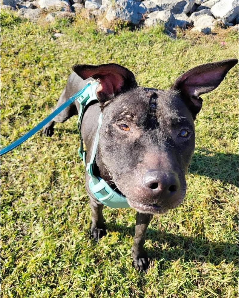 Maria — thumbnail 2