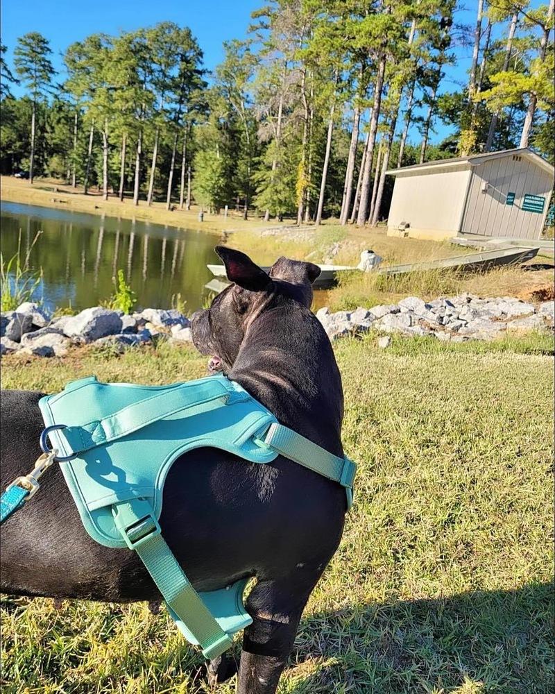 Maria — thumbnail 3