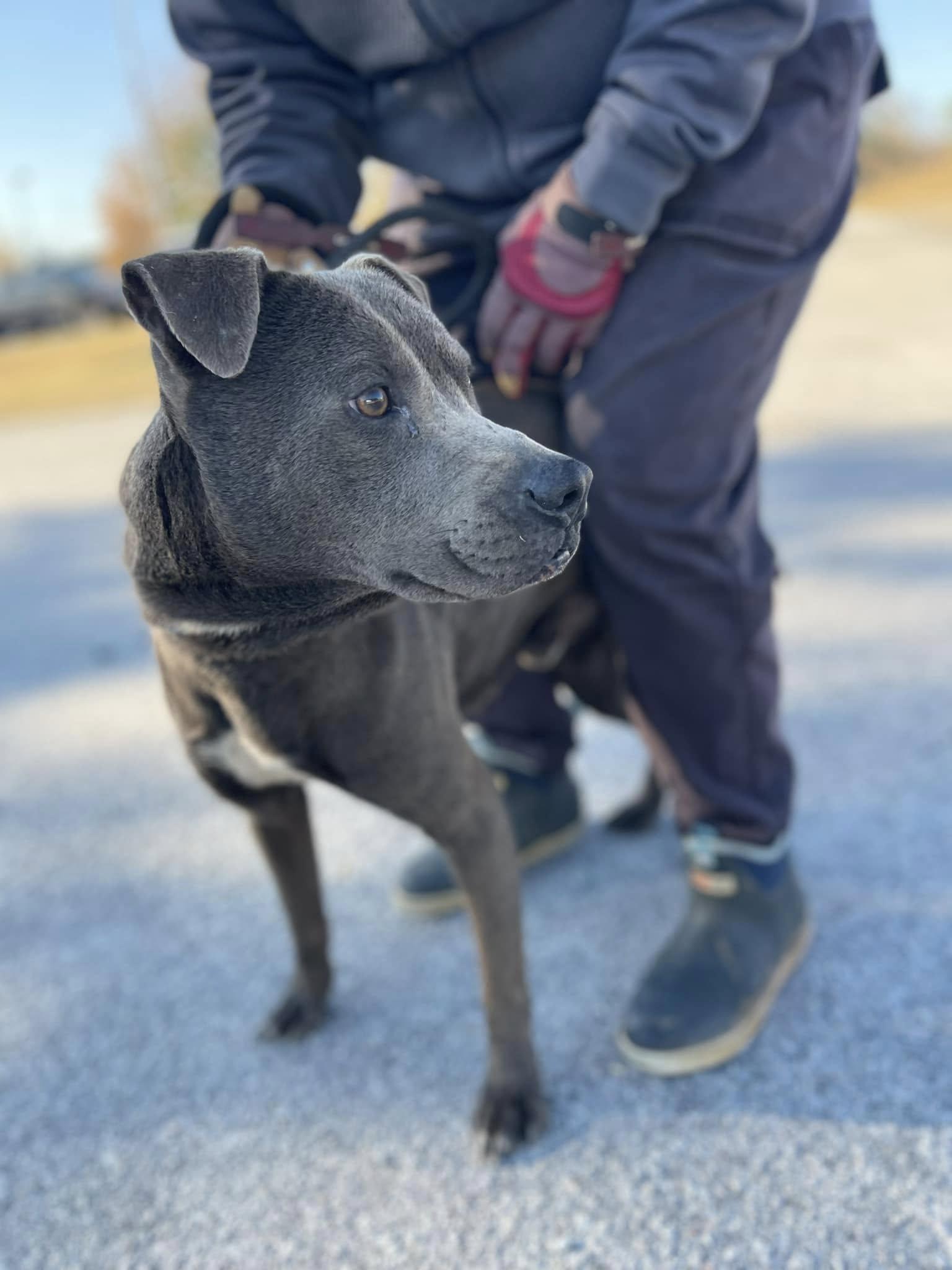 Lennox ID#24424D photo 3