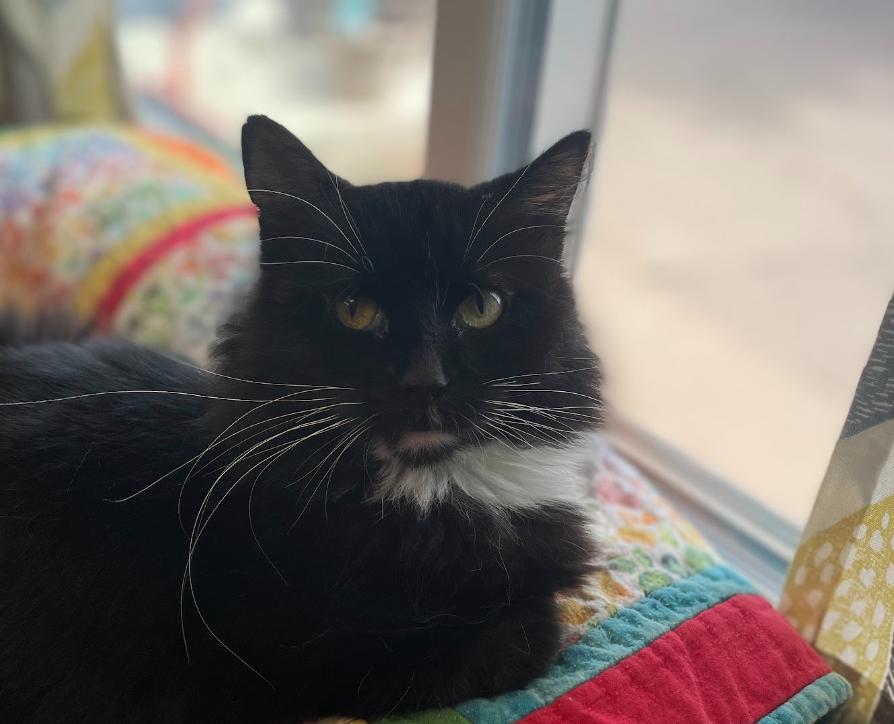 Minnie