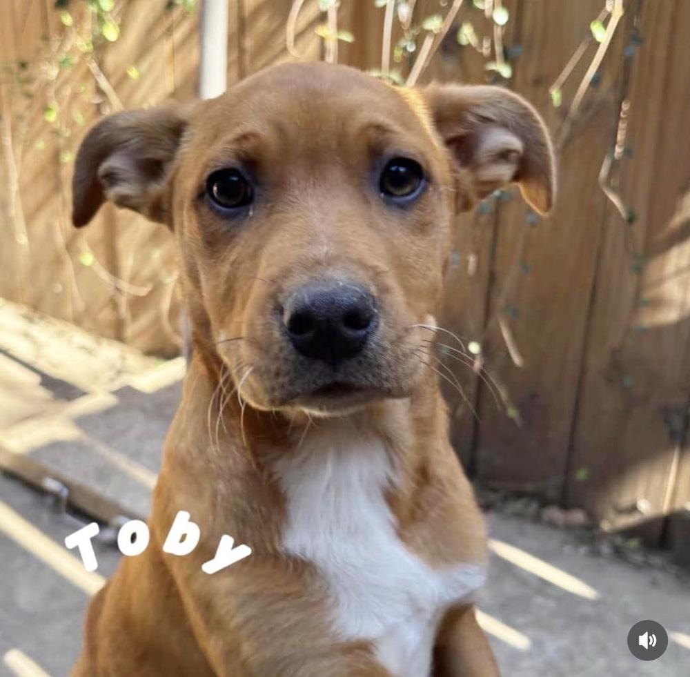 Toby Elaine — thumbnail 2