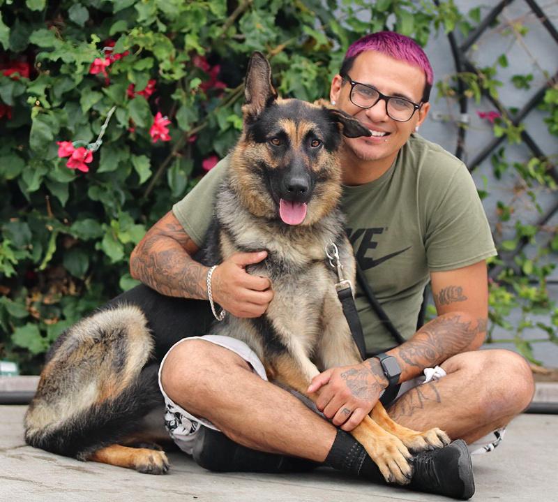 Enlarge Gabi von Garmish, a Adoptable German Shepherd Dog in Los Angeles, CA image 2/6