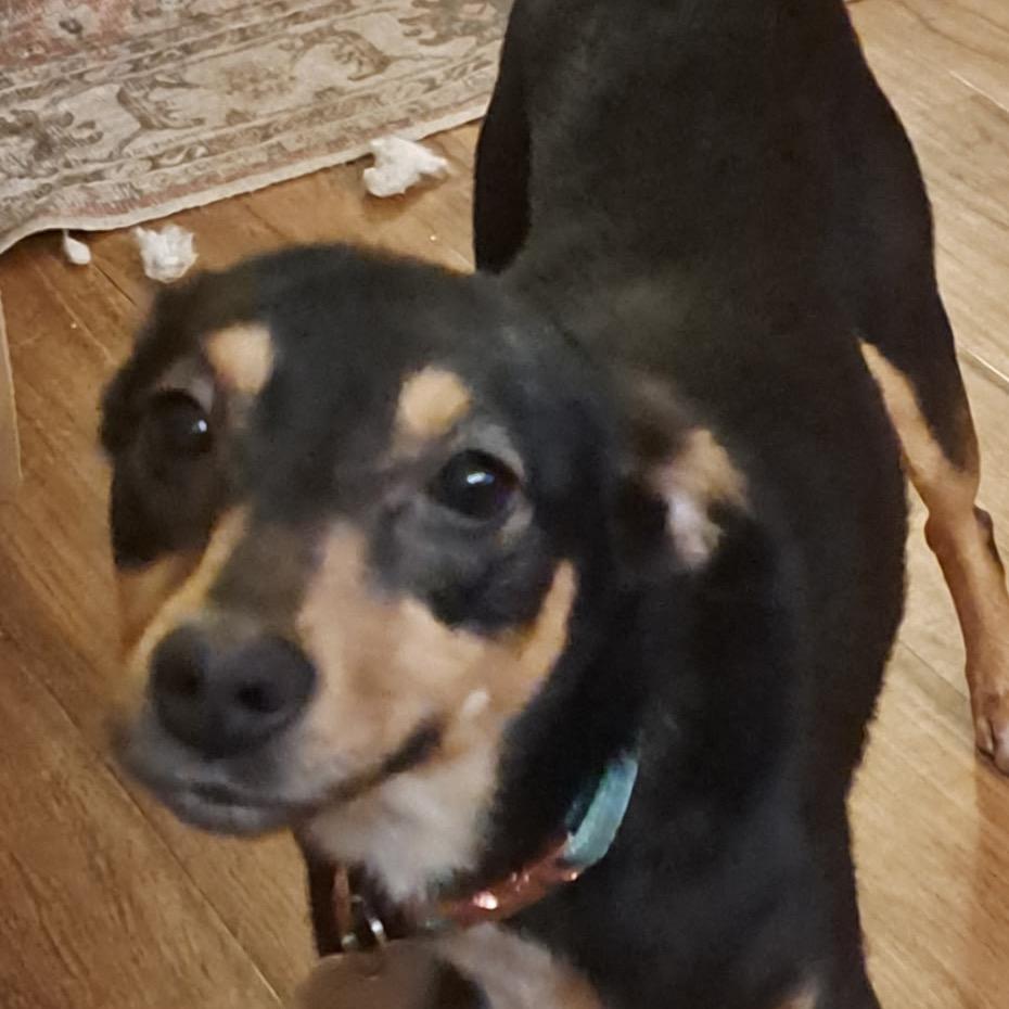 Ruby — thumbnail 3