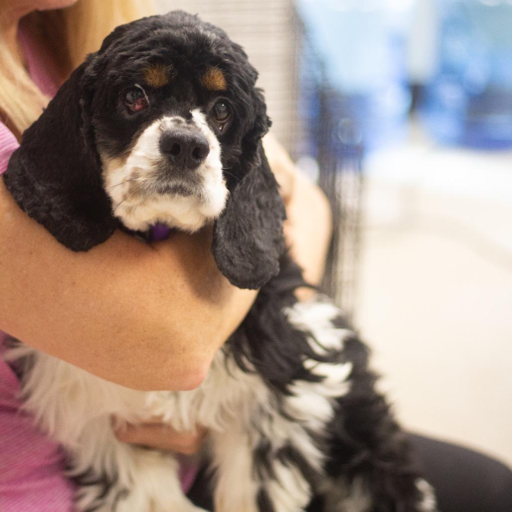 Bell 22120 — thumbnail 2