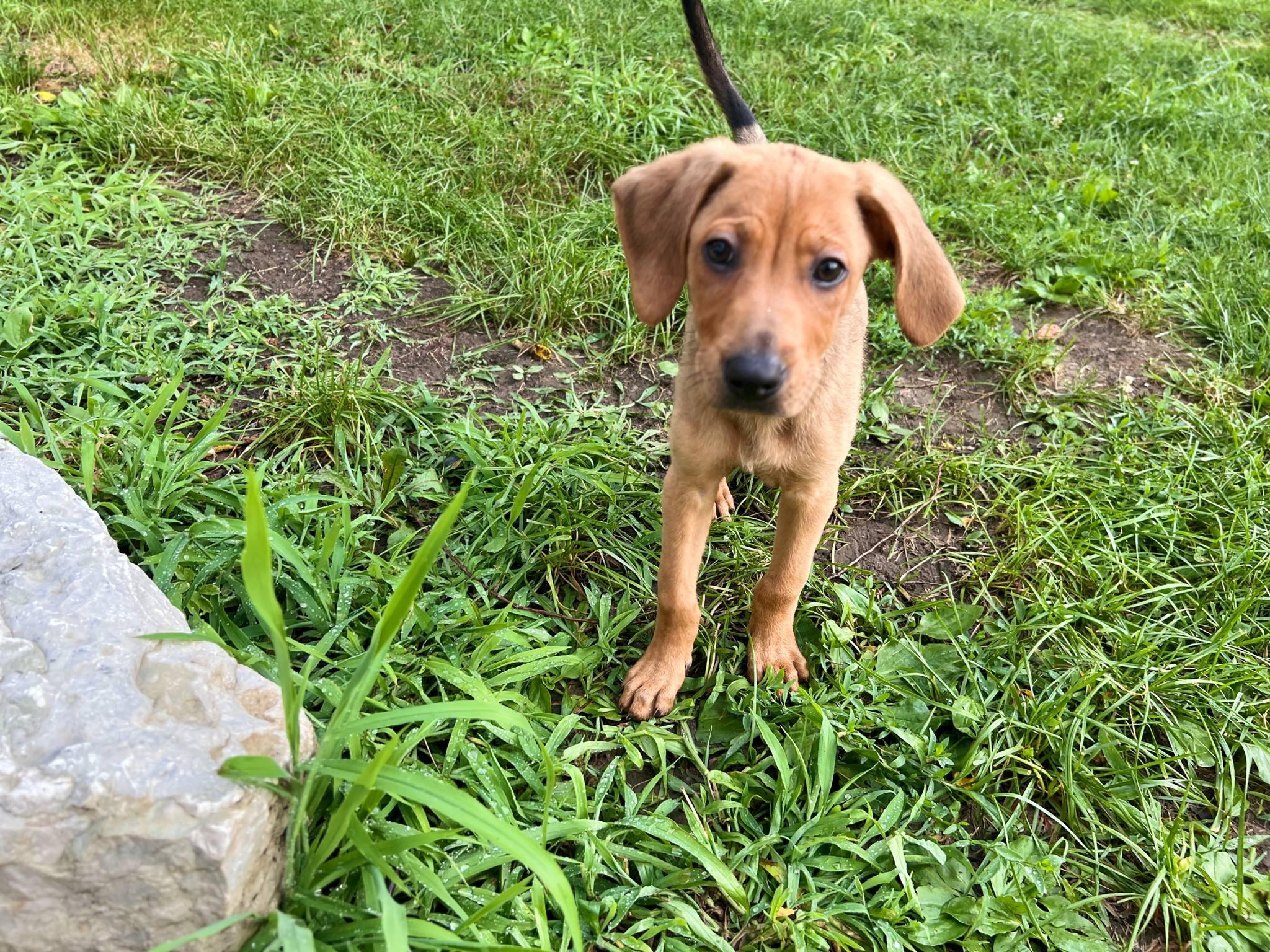 Lenny photo 4