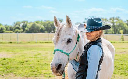 Blue Star, Adoptable, Adult Male Arabian & Grade.