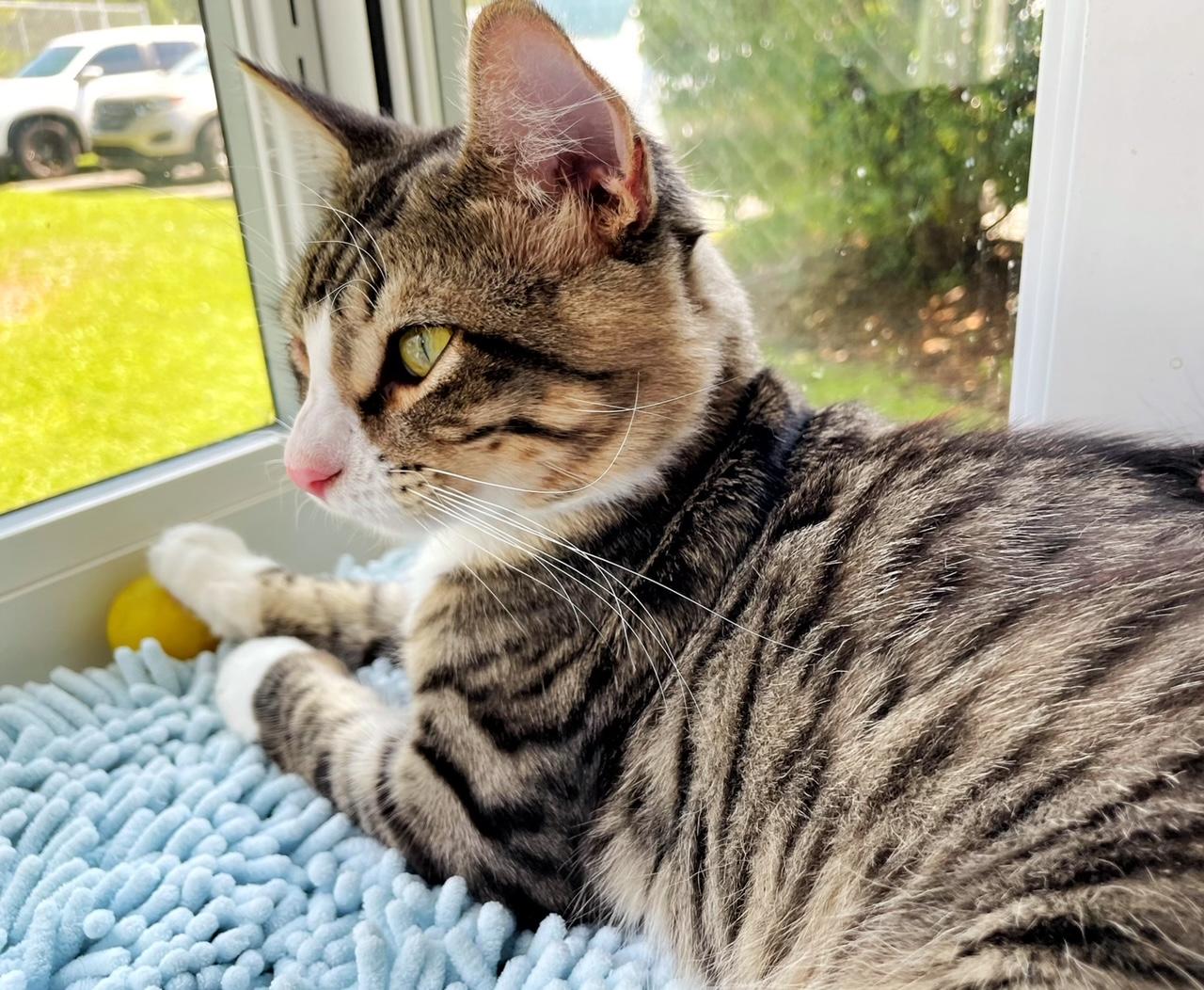 Sammy
