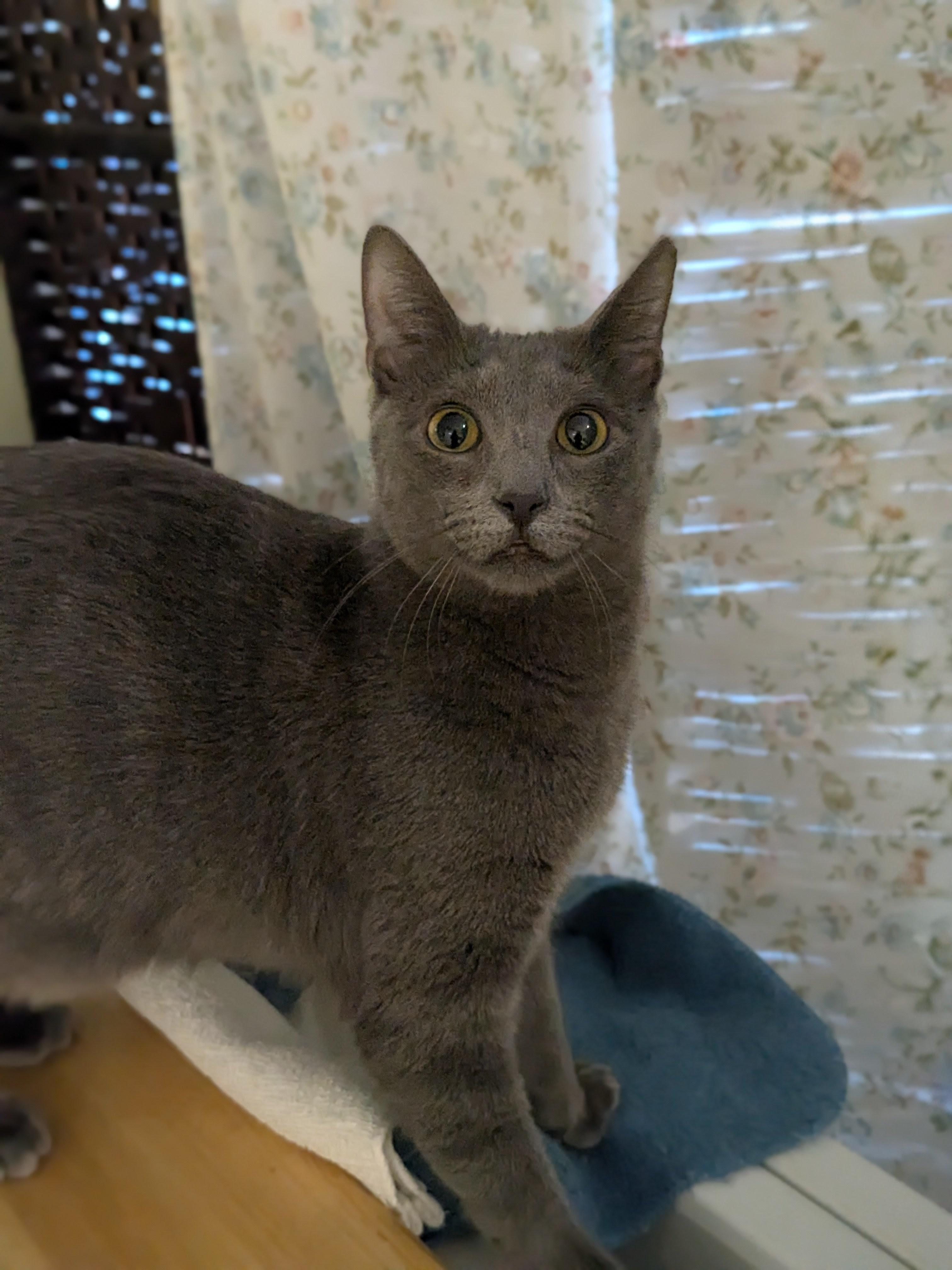 Narita — thumbnail 2