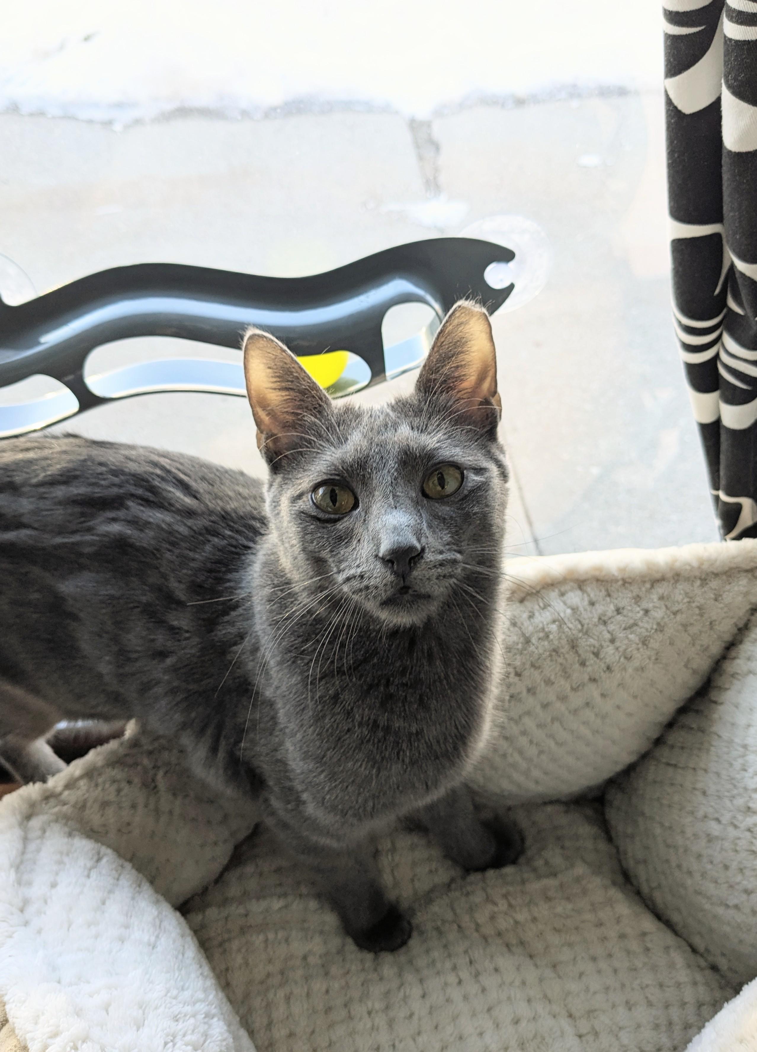 Narita — thumbnail 3