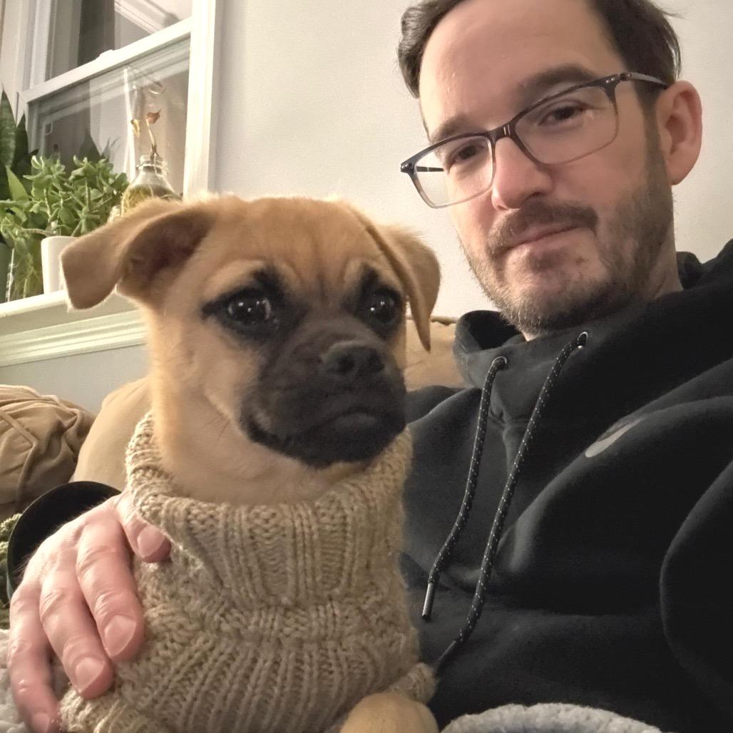 Enlarge SQUIGGLE, a Adoptable Pug in Atco, NJ image 3/6