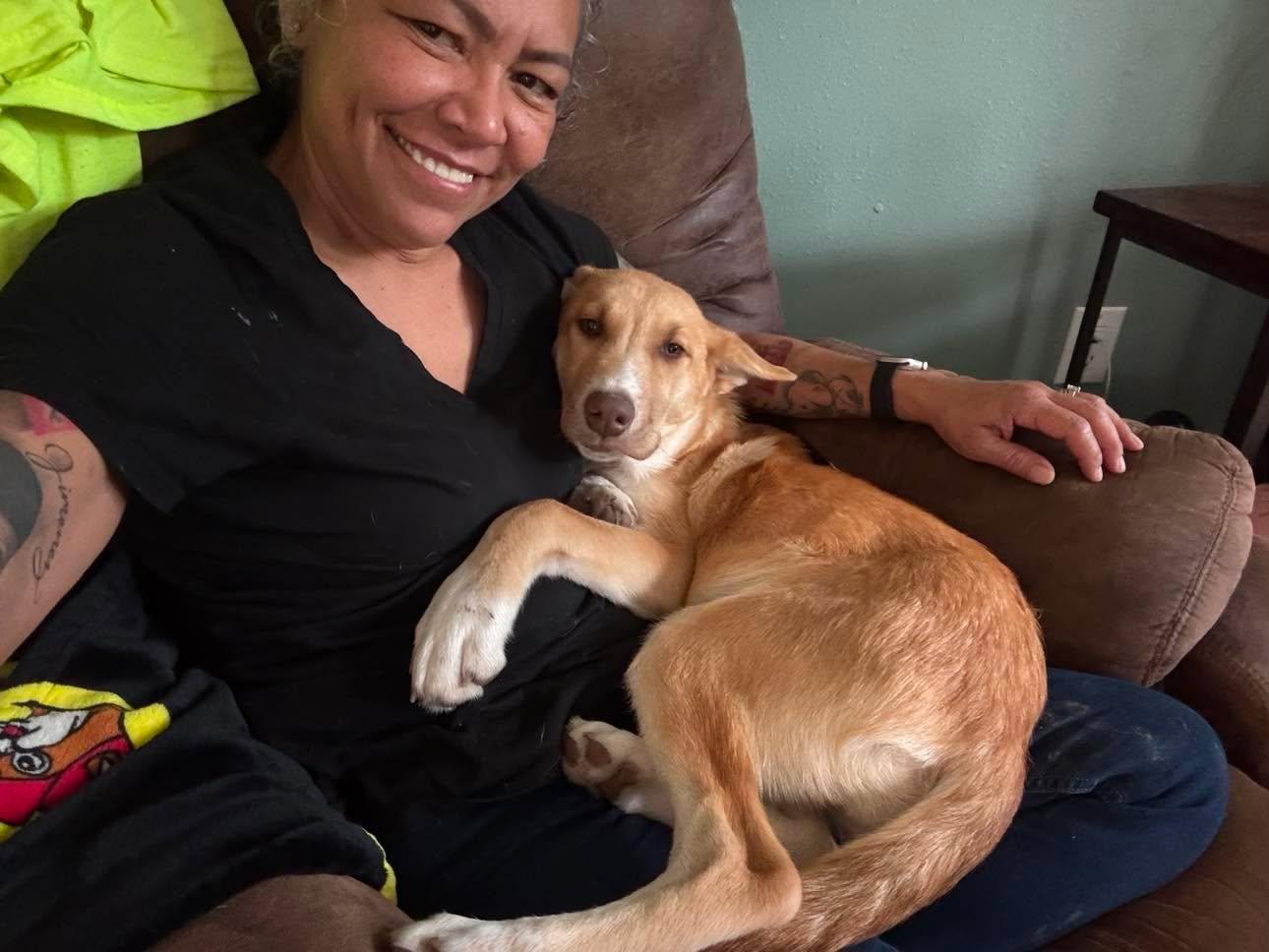 Laverne, a Adoptable mixed breed in Sugar Land, TX image 3/6