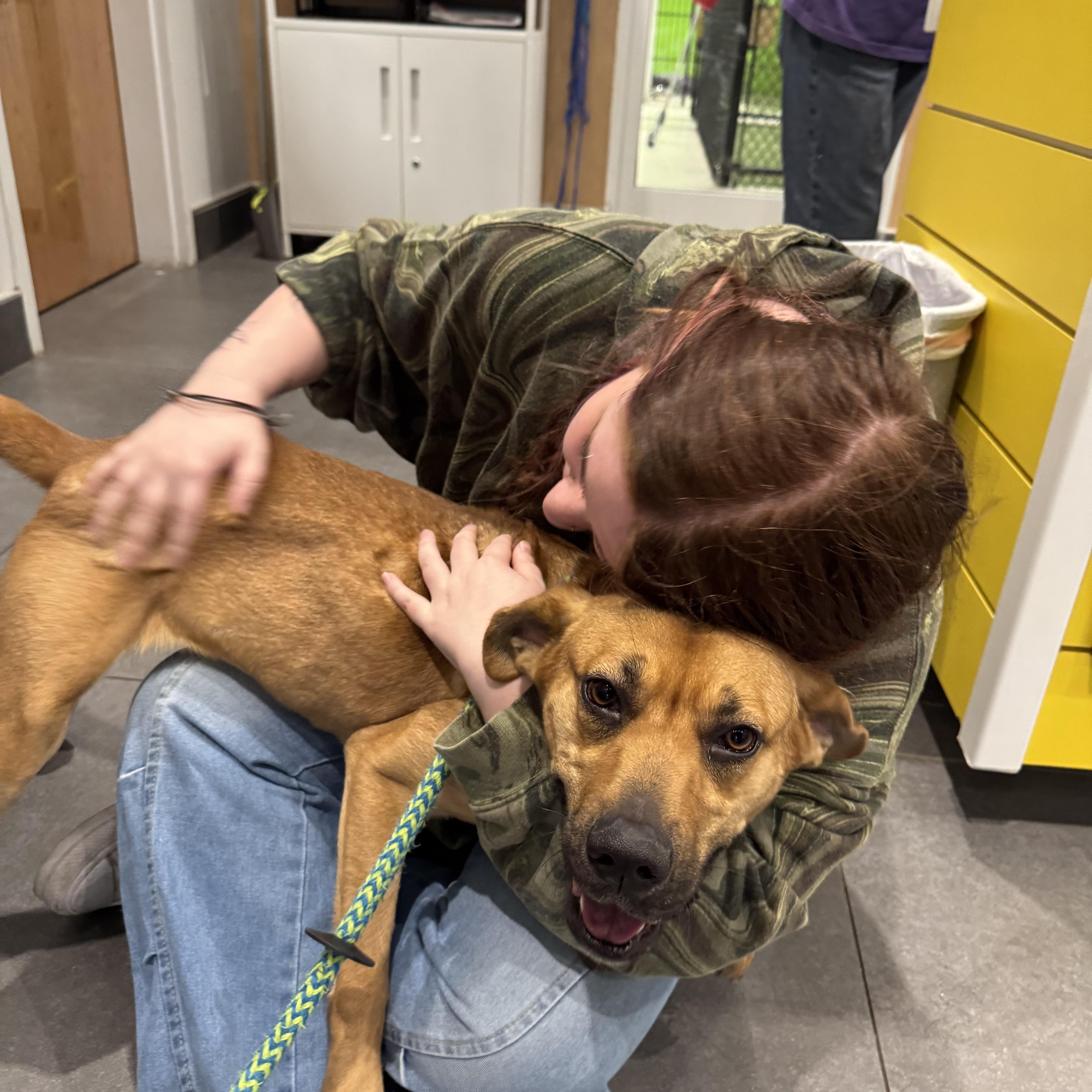 Enlarge Foxy Roxy, a Adoptable mixed breed in atlanta, GA image 6/6