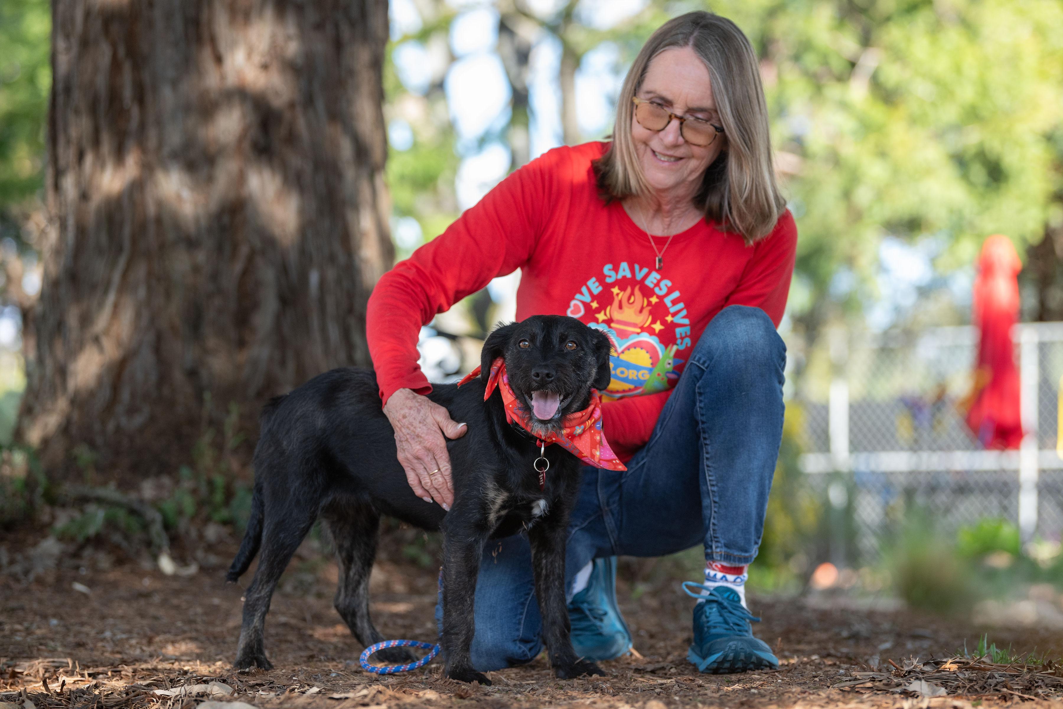 Enlarge Balu, an adopted mixed breed in Santa Rosa, CA image 4/4