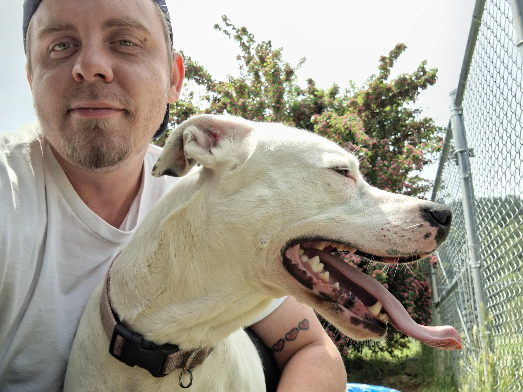 Rosie, a ADOPTABLE mixed breed in Weaverville, CA image 3/6