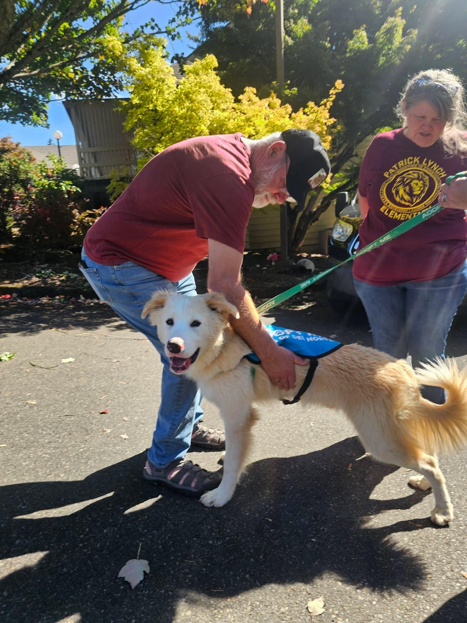 Enlarge Buster, a Adoptable mixed breed in Crescent city, CA image 3/5