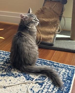 Mia