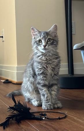 Mia