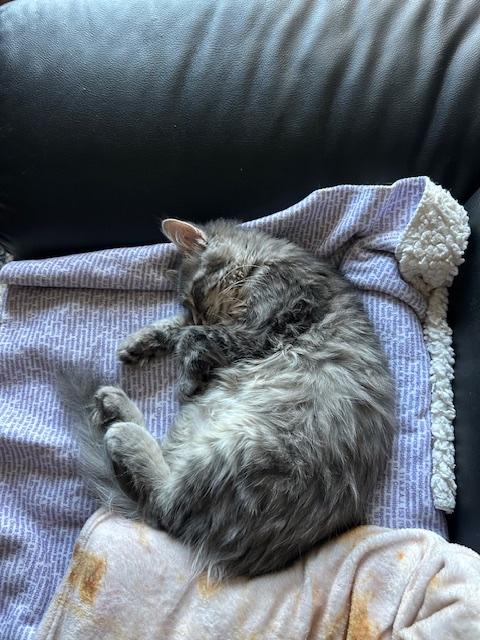 Mia