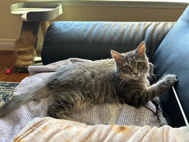 Mia