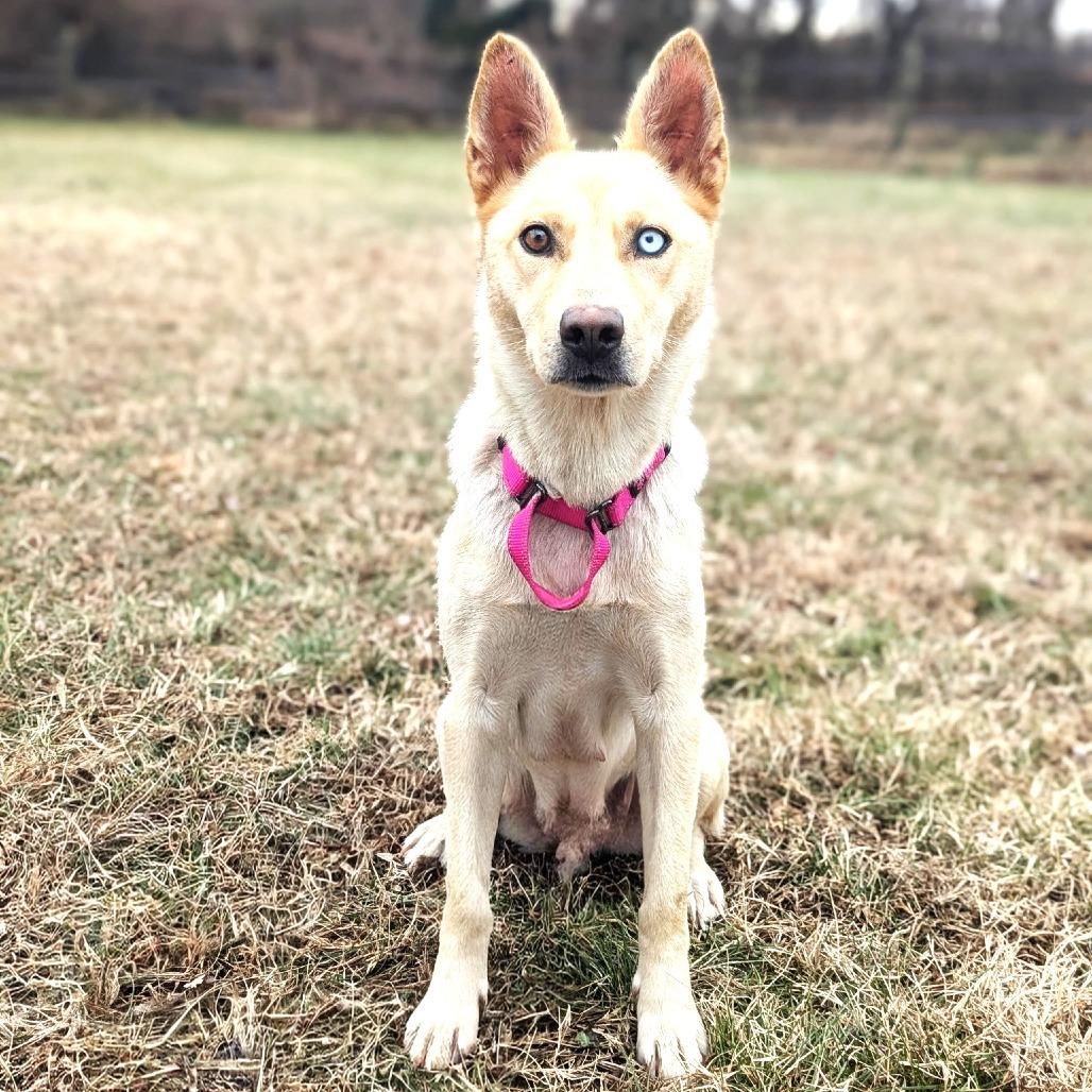 Aspen — thumbnail 2