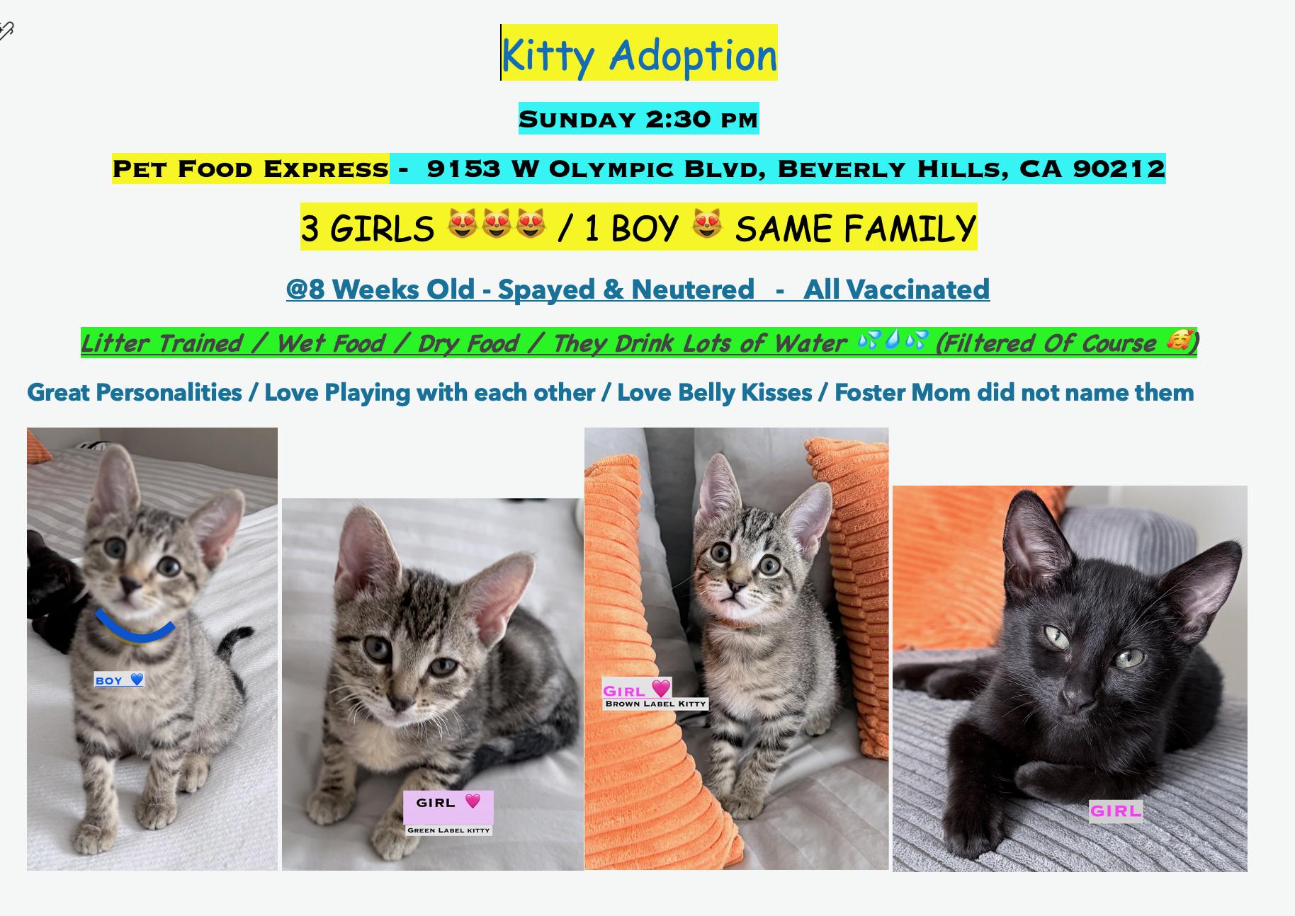 Bella/ Stacy /Violet / Johnny