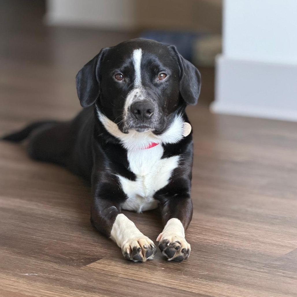 Mochi A — thumbnail 2