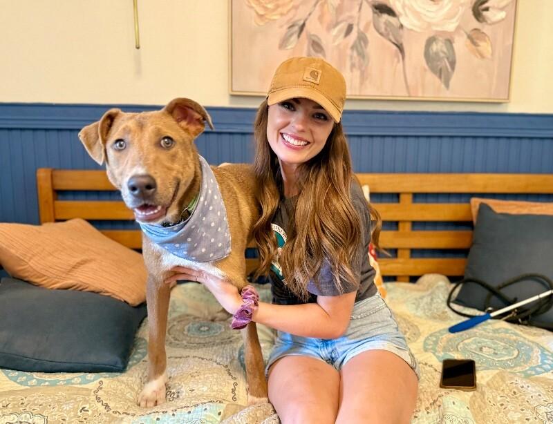 Enlarge Nova Sparkles Sweet Friend to All, a Adoptable mixed breed in Louisville, KY image 2/6