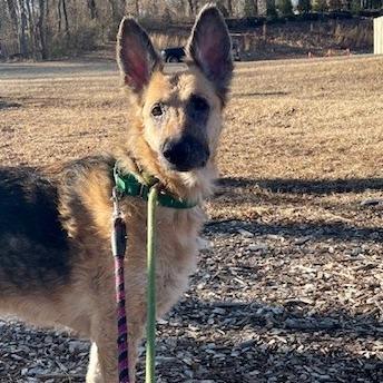 Wrigley — thumbnail 2