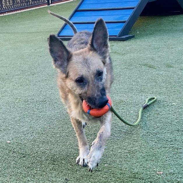 Wrigley — thumbnail 3