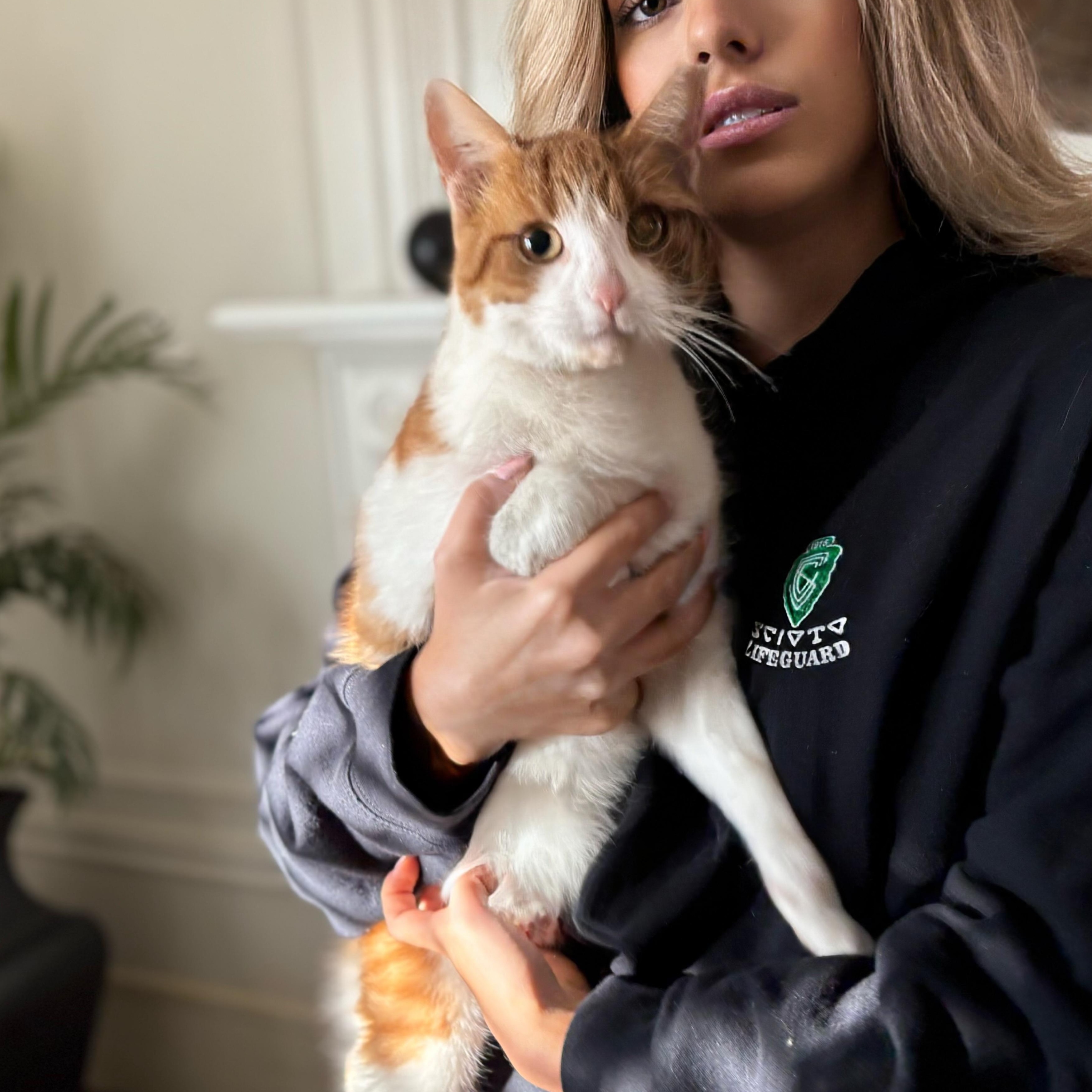 Enlarge LINUS, an adopted mixed breed in Columbus, OH image 6/6