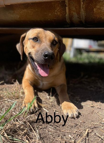 Abby photo 5
