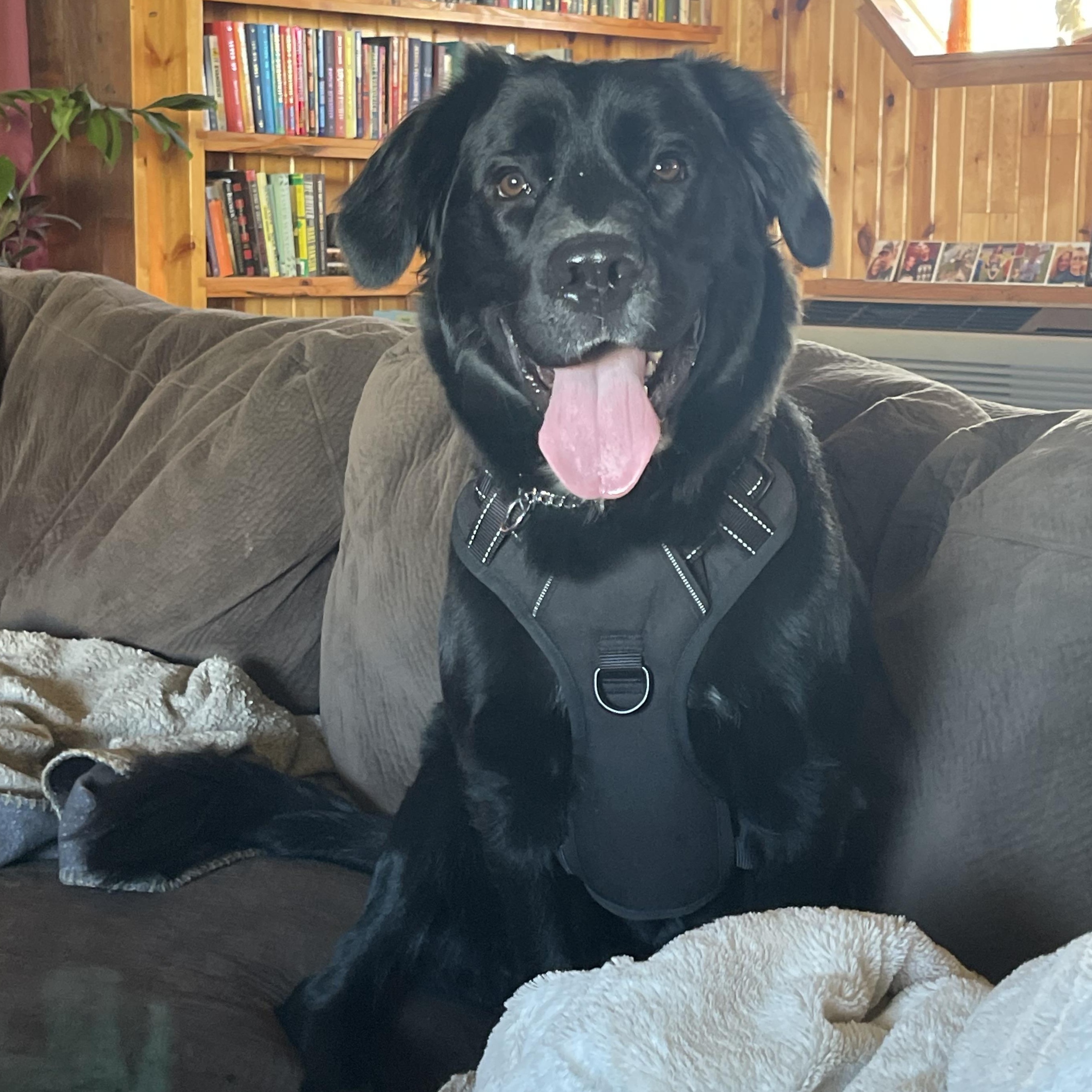 MARLOW — thumbnail 4