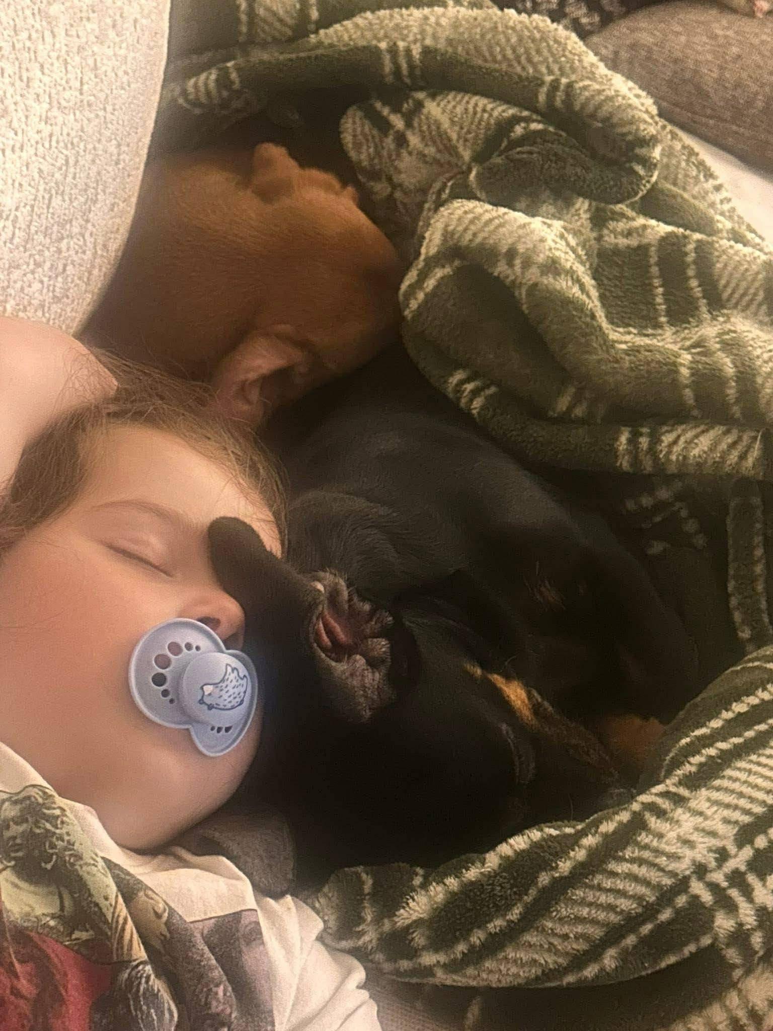 Tootsy & Copper Bonded thumbnail 5