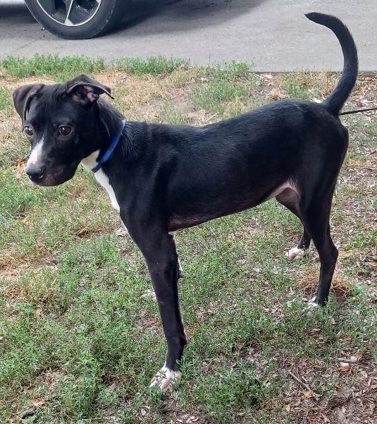 Ellie Mae photo 3
