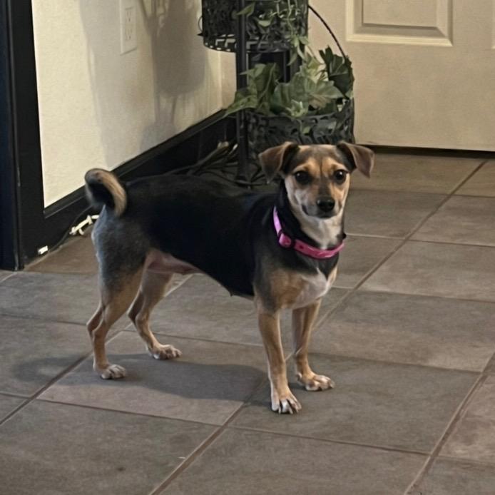 Lucy — thumbnail 3