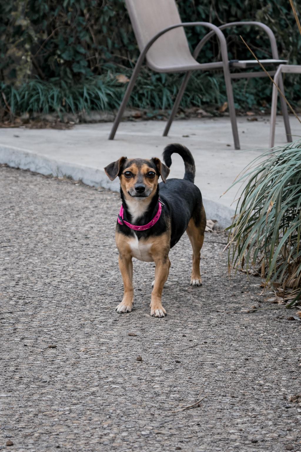 Lucy — thumbnail 5