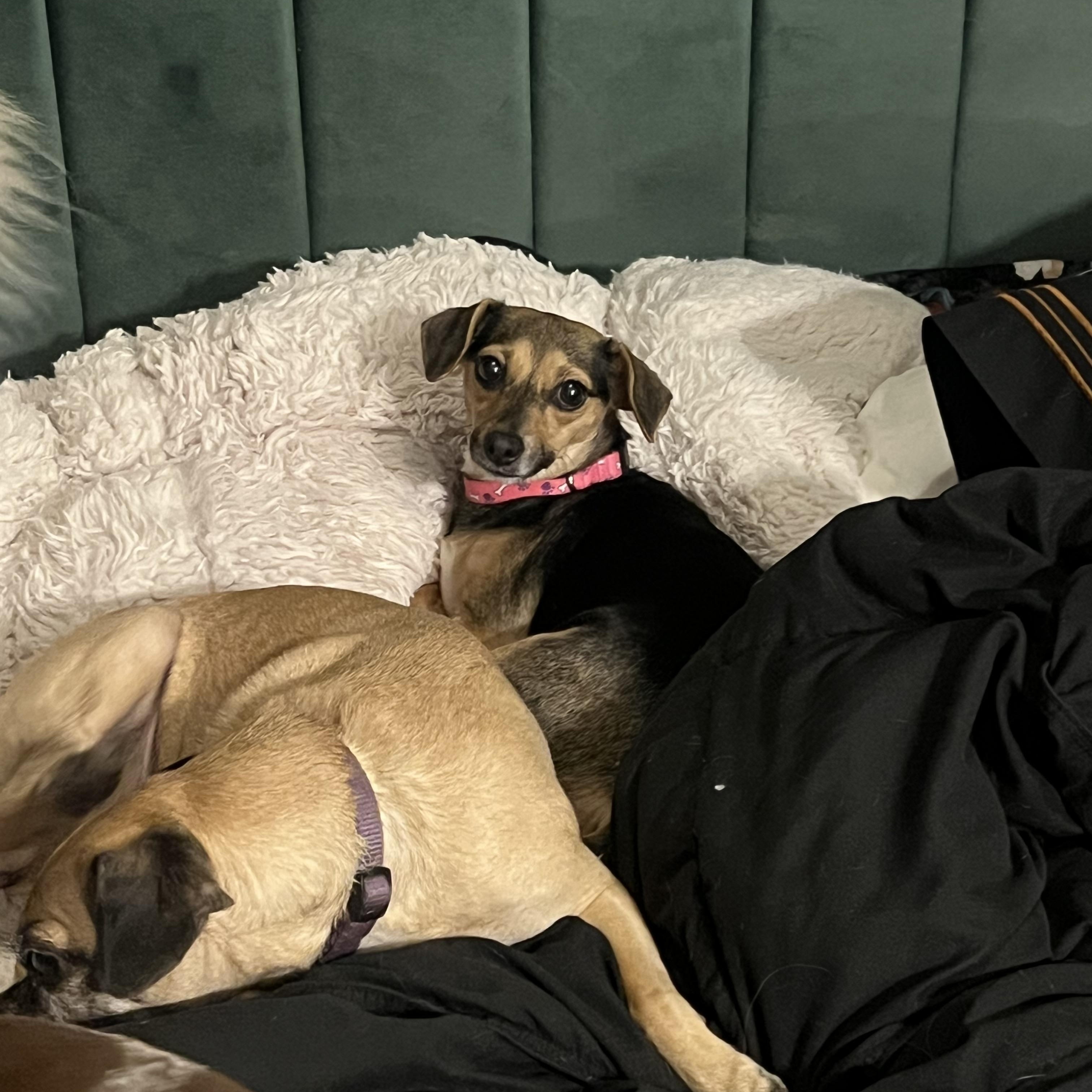 Lucy — thumbnail 6