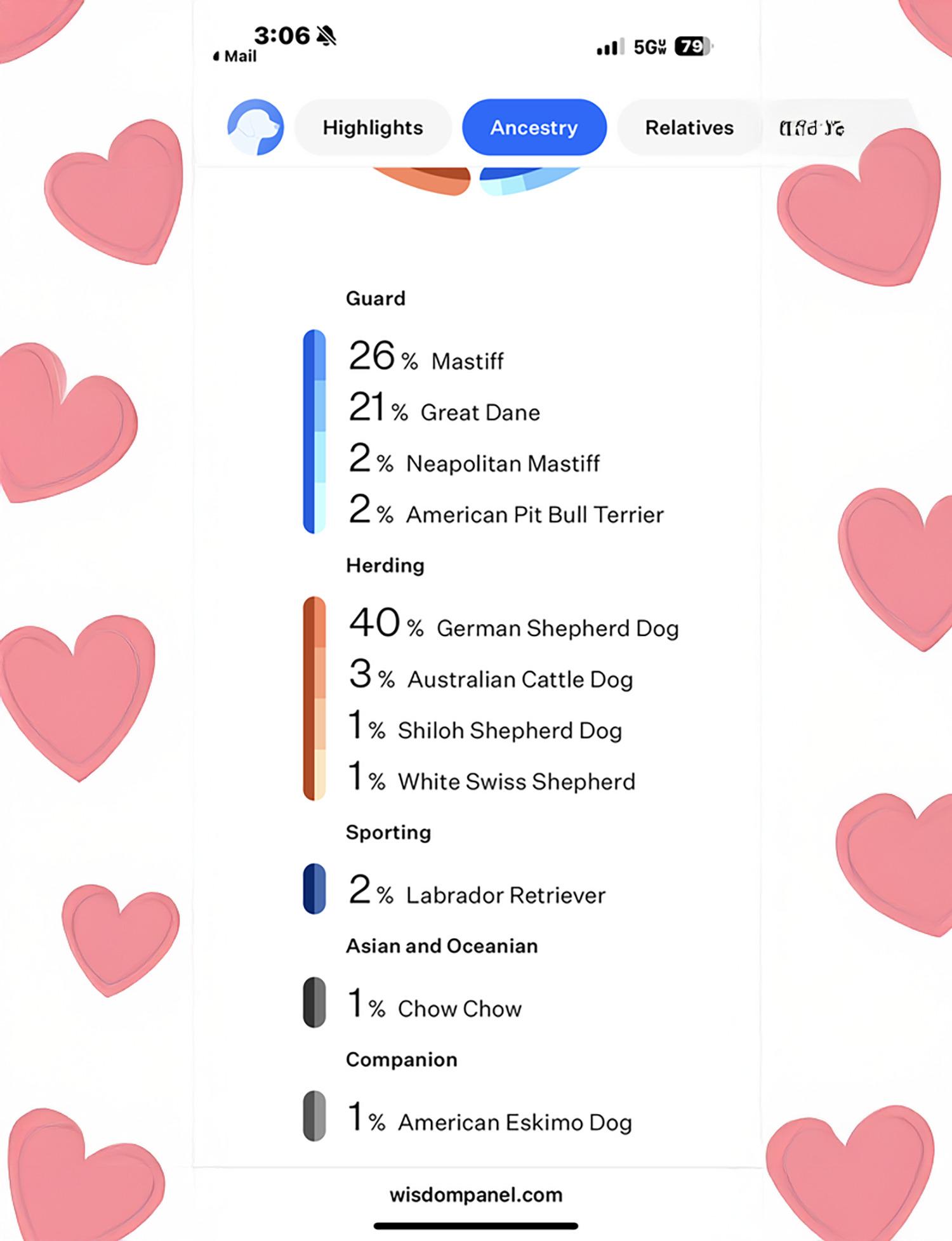 Rosabella — thumbnail 3