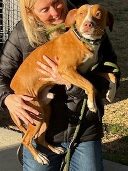 Whitaker thumbnail 2