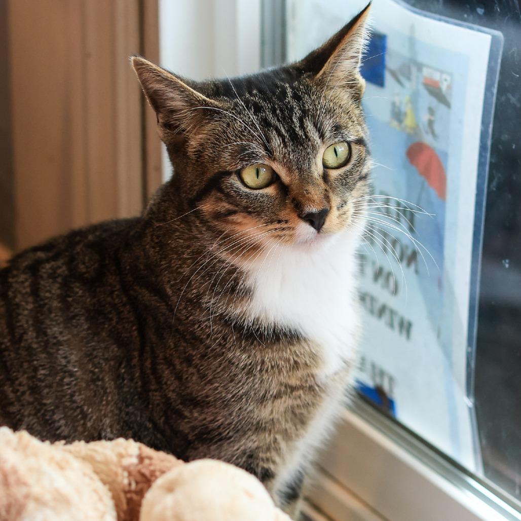 Bronte — thumbnail 5