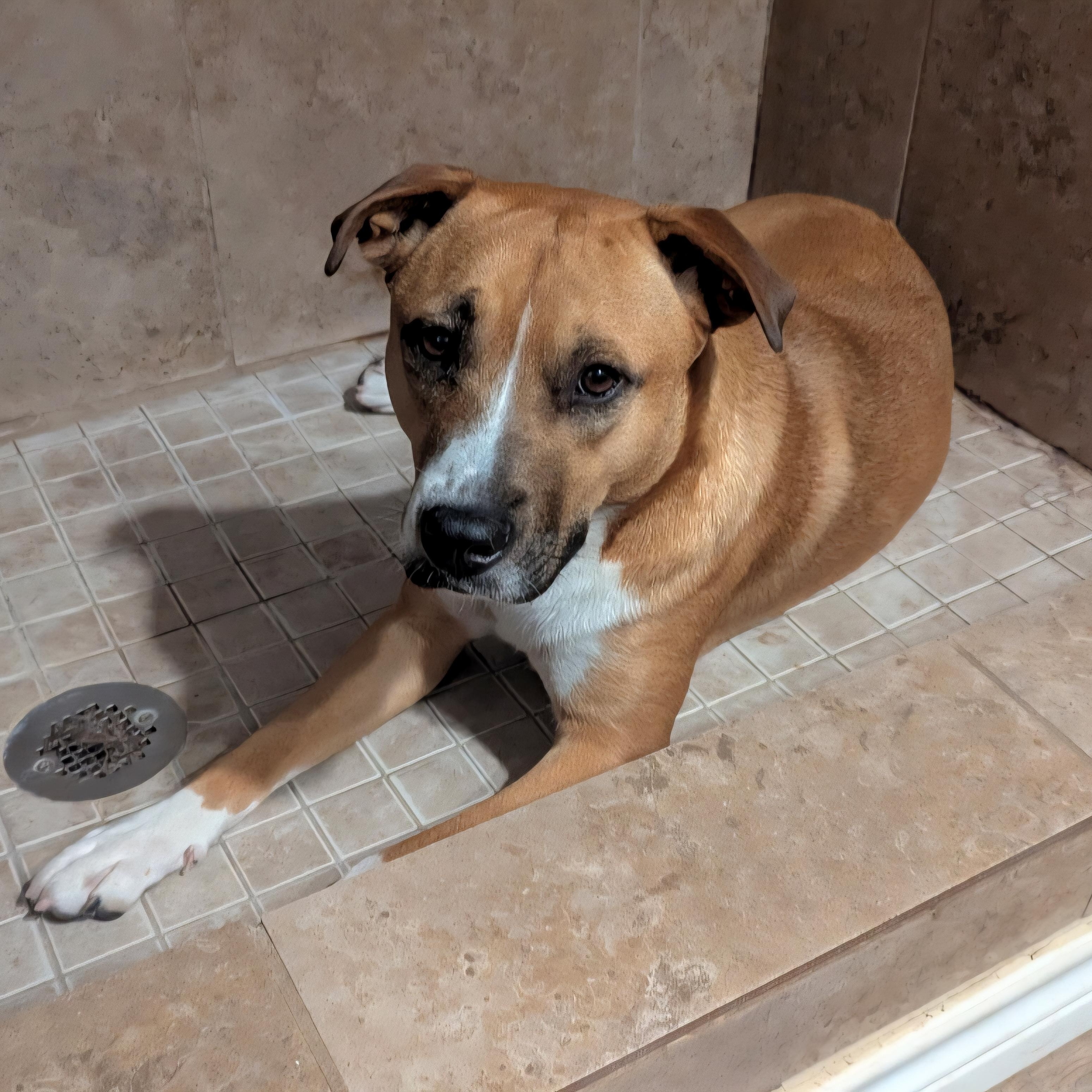 Sissy — thumbnail 2