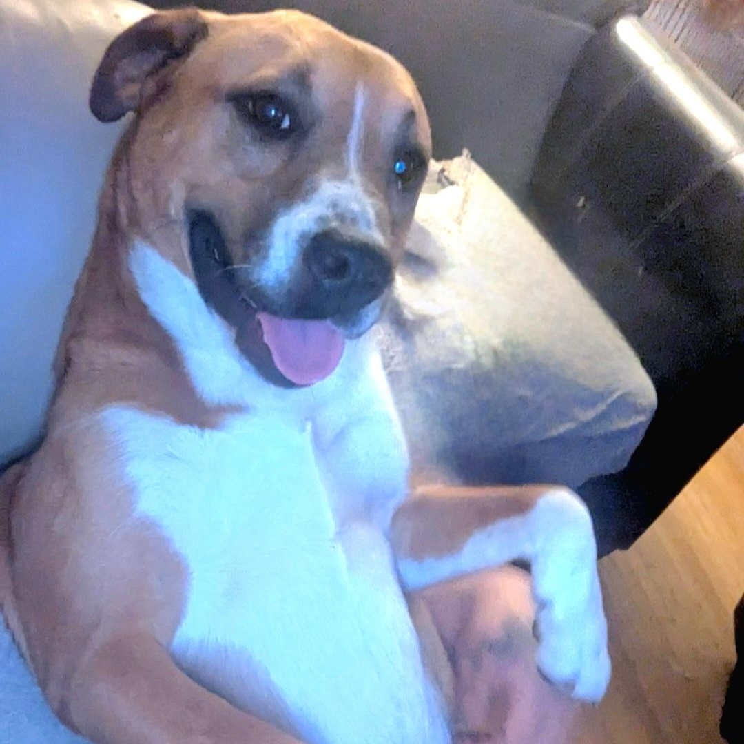 Sissy — thumbnail 4