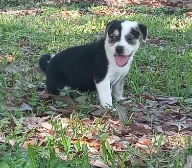 Yuki — thumbnail 4