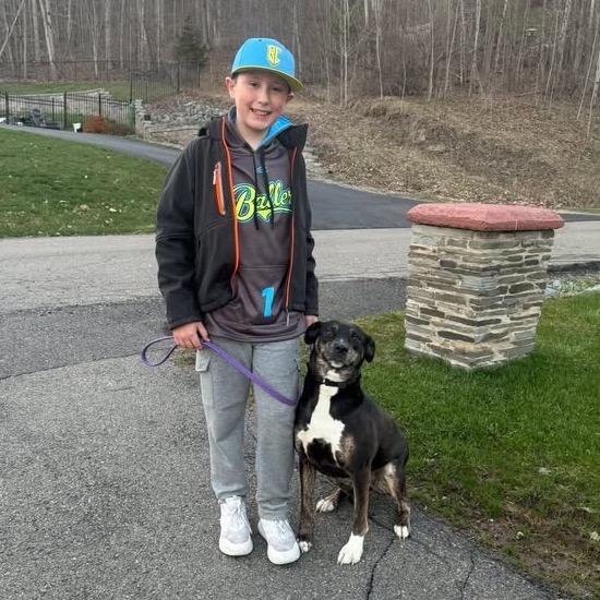 Enlarge Boo, a Adoptable mixed breed in Binghamton, NY image 3/6